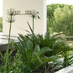 Eco Residences & Toroni
