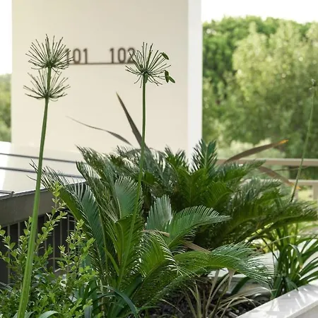 Eco Residences & Torone