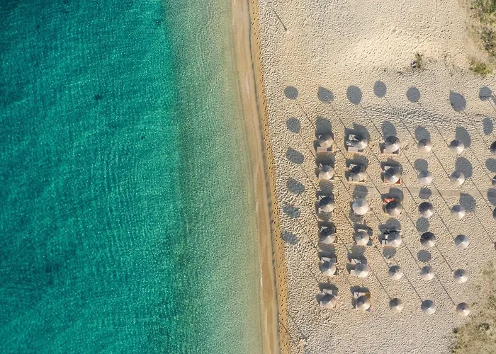 Hotel Eco Residences & Toroni