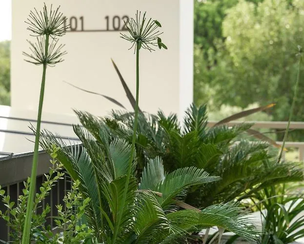 Eco Residences & Toroni